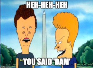 Beavis and Butthead at Washington Monument. Caption: "Heh heh heh, You Said DAM"